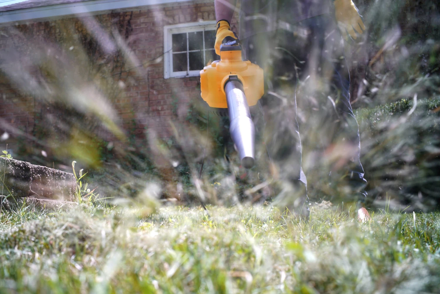 DEWALT Detachable Blower 12-Gallon 5.5 HP Corded Wet/Dry Shop Vacuum With Accessories Included 14 DEWALT Detachable Blower 12-Gallon 5.5 HP Corded Wet/Dry Shop Vacuum With Accessories Included - Image 14